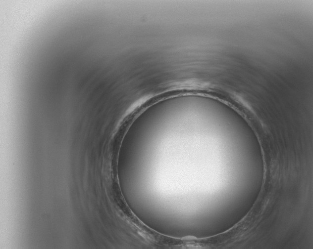 X0000080101315200612221728