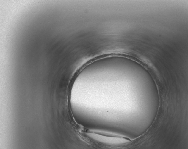 X0000080101316200612221728