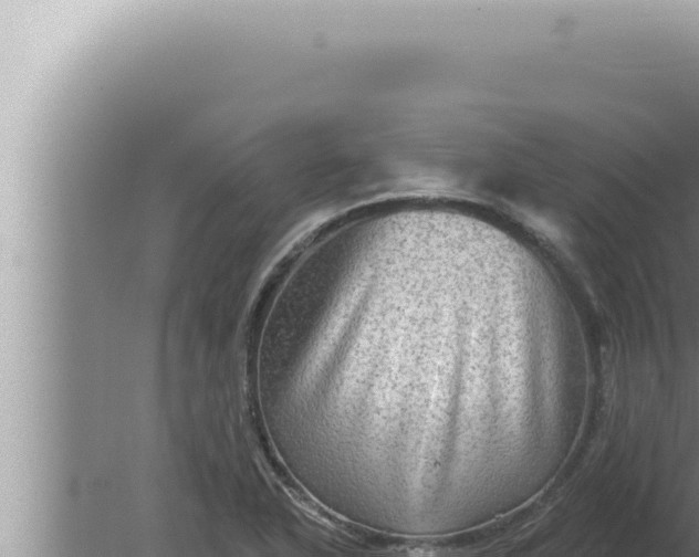 X0000080101318200612221728