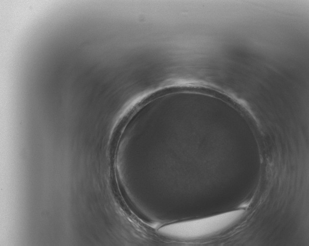 X0000080101319200612221728