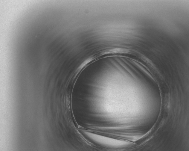 X0000080101321200612221728