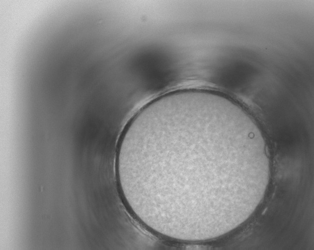 X0000080101322200612221728