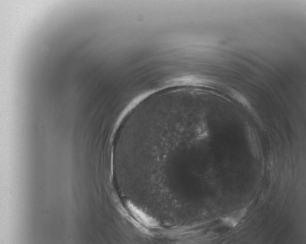 X0000080101323200612221728