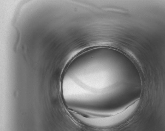 X0000080101324200612221728