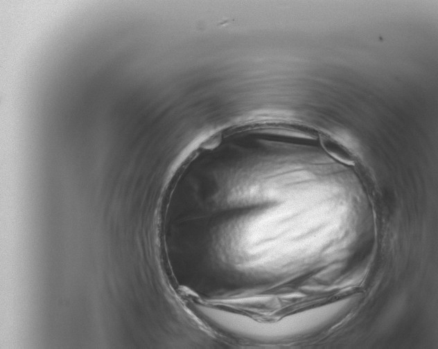 X0000080101325200612221728