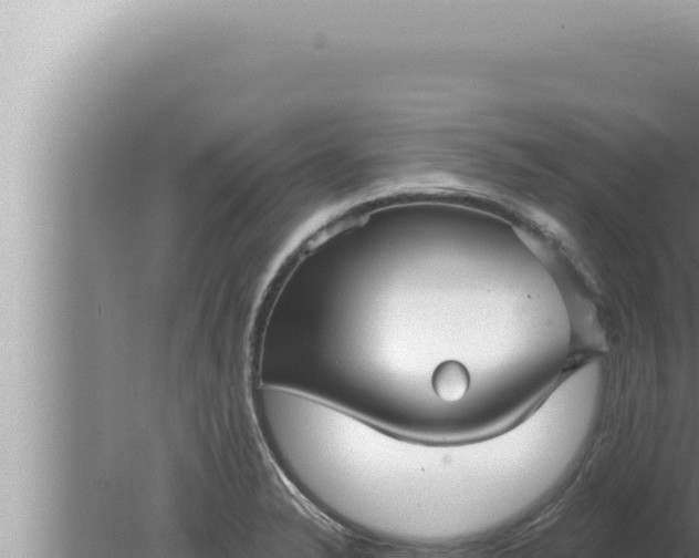 X0000080101326200612221728