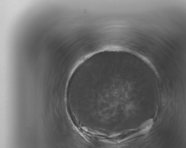 X0000080101327200612221728