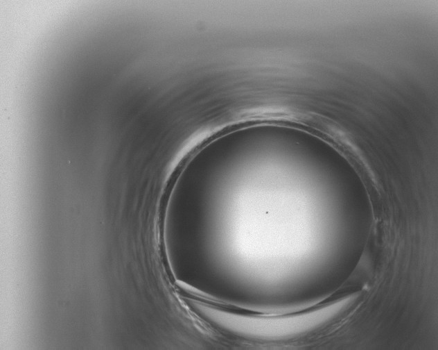 X0000080101328200612221728