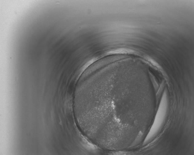 X0000080101329200612221728