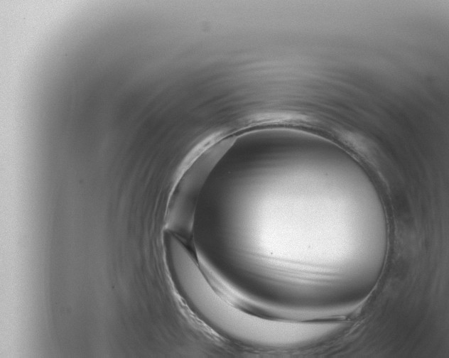 X0000080101330200612221729