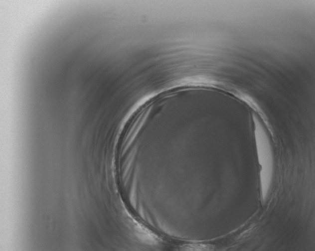 X0000080101331200612221729