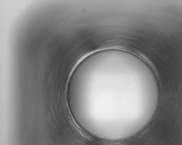 X0000080101332200612221729