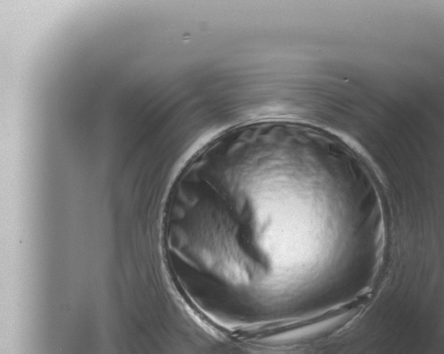 X0000080101333200612221729