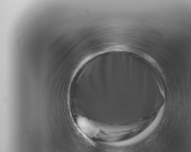 X0000080101334200612221729