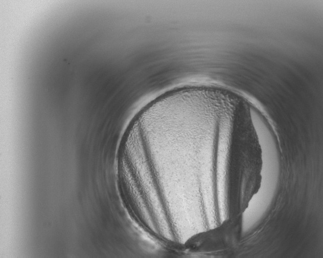 X0000080101335200612221729