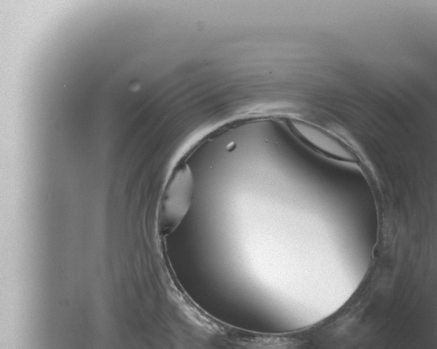 X0000080101336200612221729