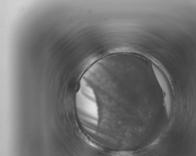 X0000080101337200612221729