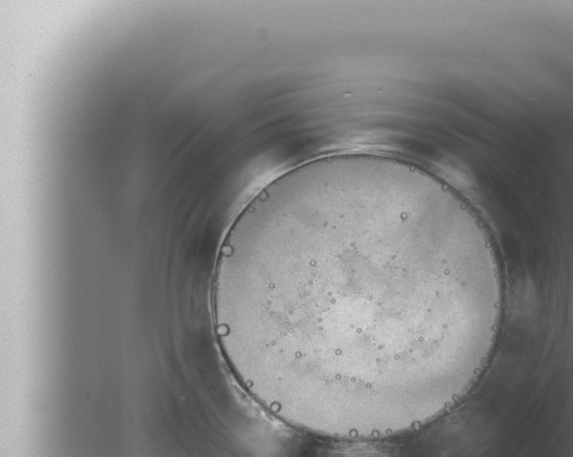 X0000080101338200612221729