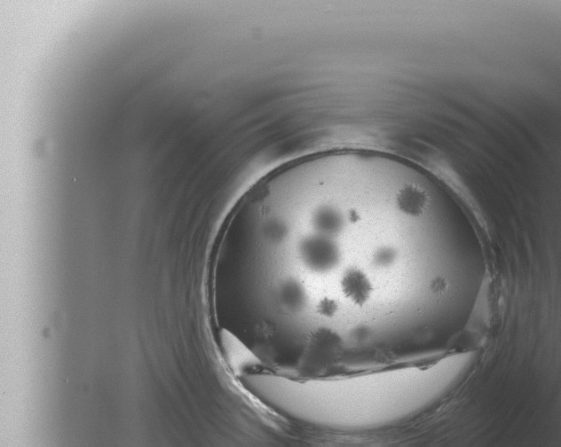 X0000080101339200612221729