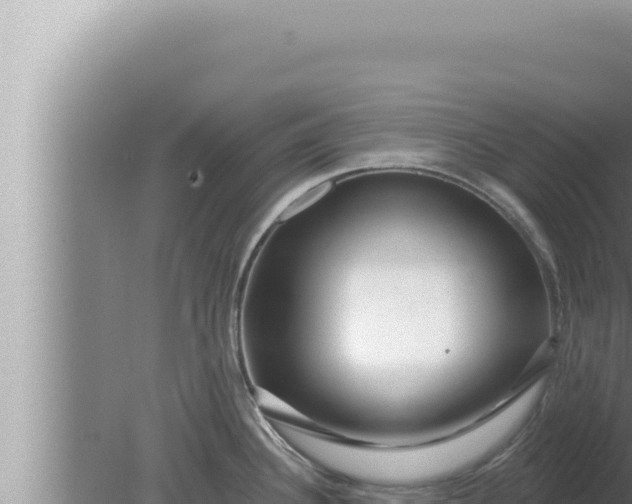 X0000080101340200612221729