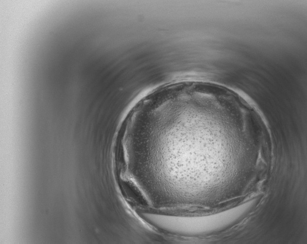 X0000080101341200612221729