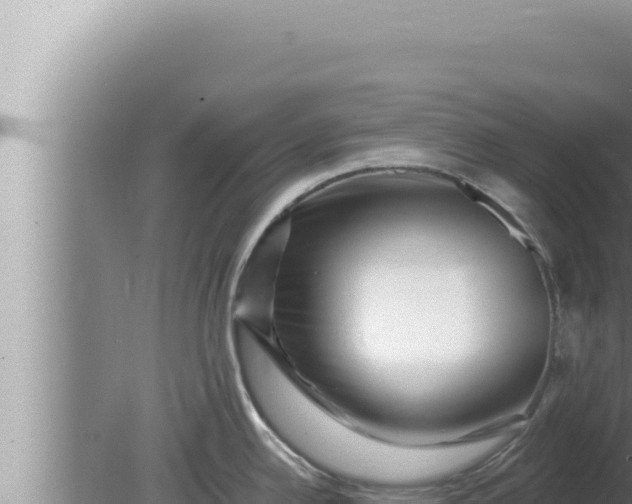 X0000080101342200612221729