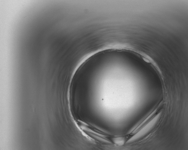 X0000080101343200612221729