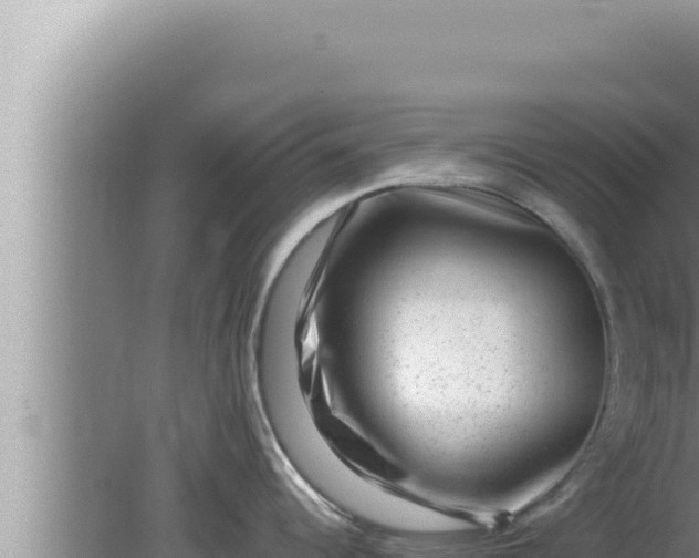 X0000080101344200612221729