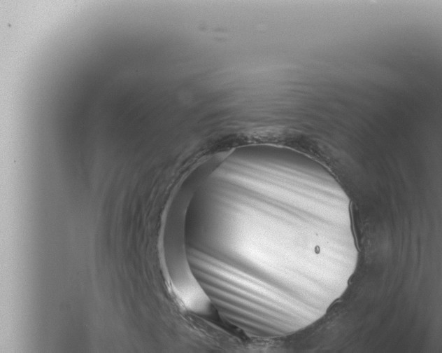 X0000080101345200612221728