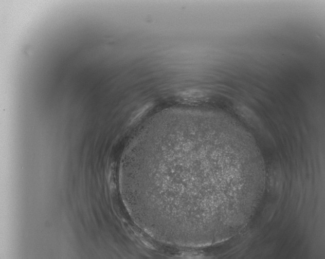 X0000080101346200612221728