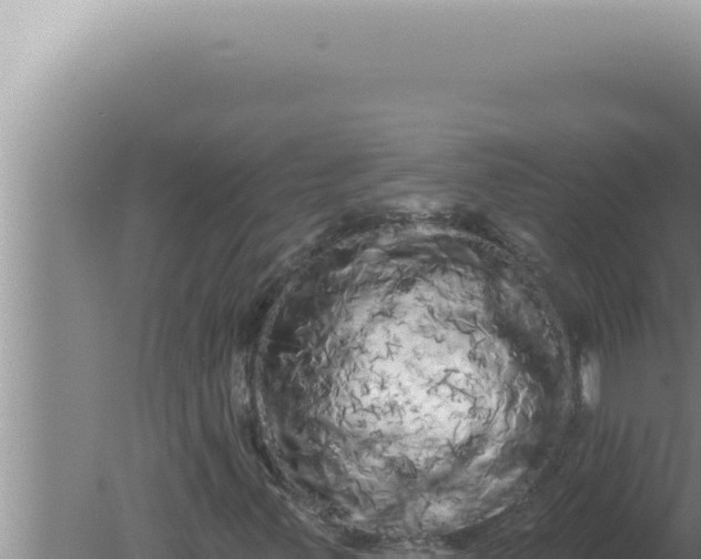 X0000080101347200612221728