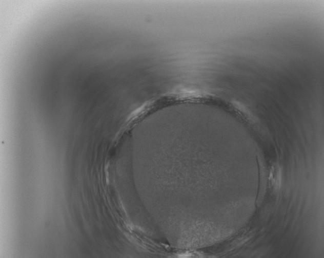 X0000080101348200612221728