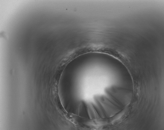 X0000080101349200612221728