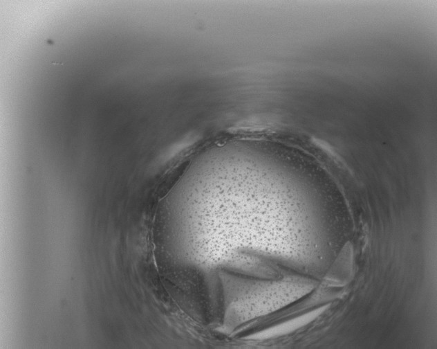 X0000080101350200612221728