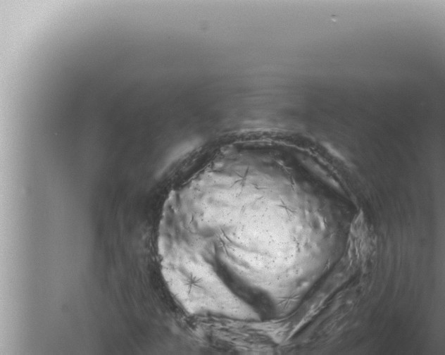 X0000080101351200612221728