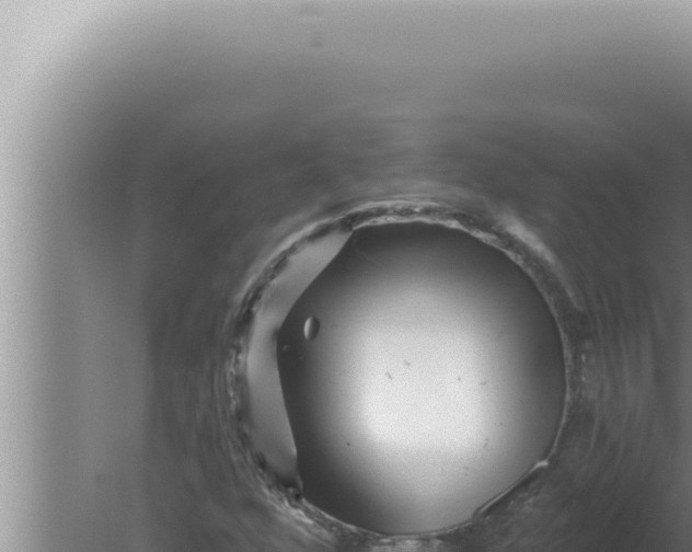 X0000080101352200612221728