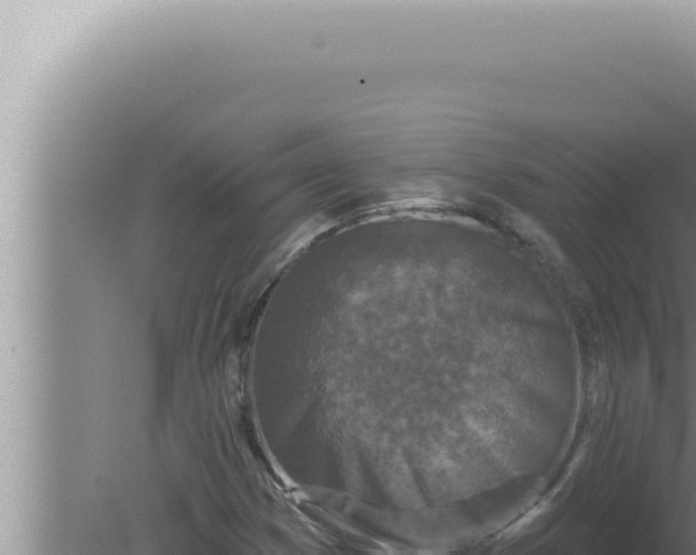 X0000080101353200612221728