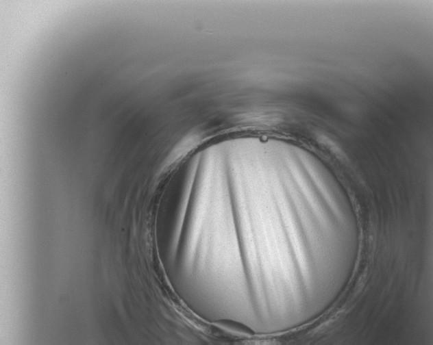 X0000080101354200612221728