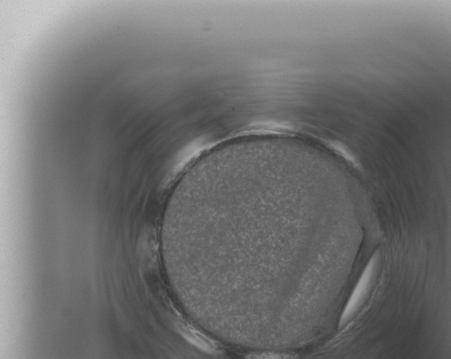 X0000080101355200612221728