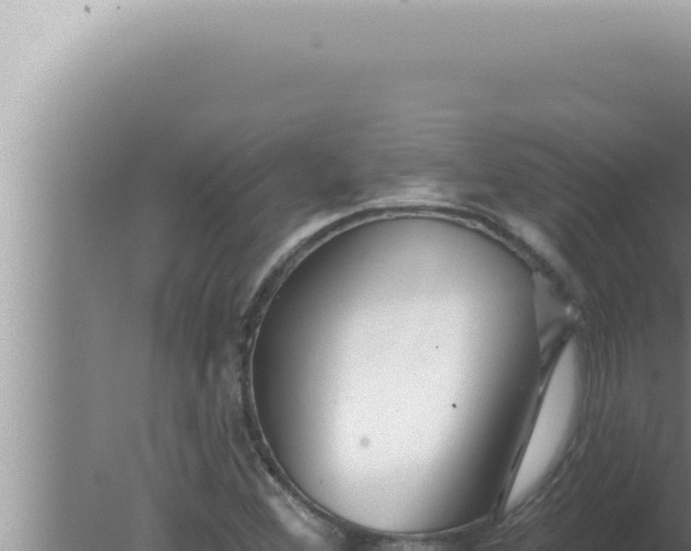 X0000080101356200612221728