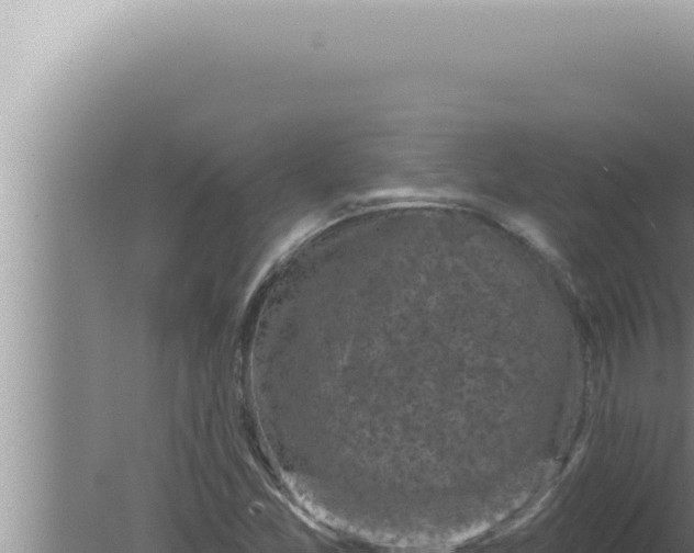 X0000080101357200612221728