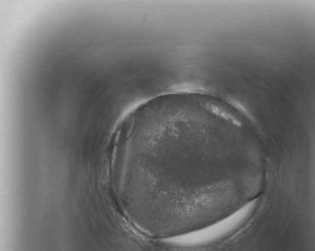 X0000080101358200612221728