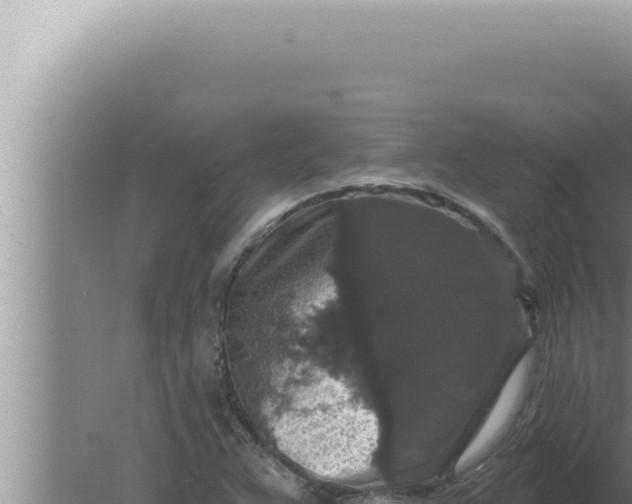 X0000080101359200612221728