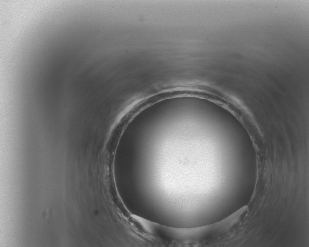 X0000080101360200612221728