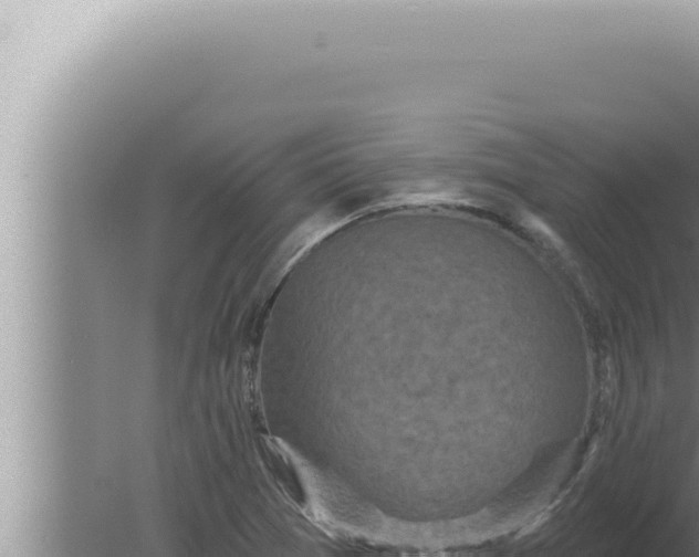 X0000080101361200612221728