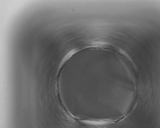 X0000080101362200612221728