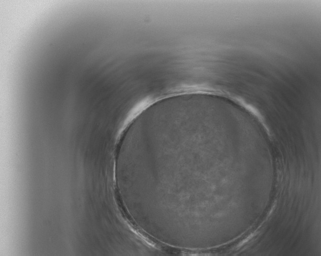 X0000080101365200612221728