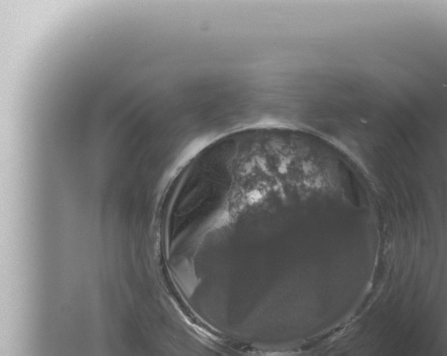 X0000080101367200612221728