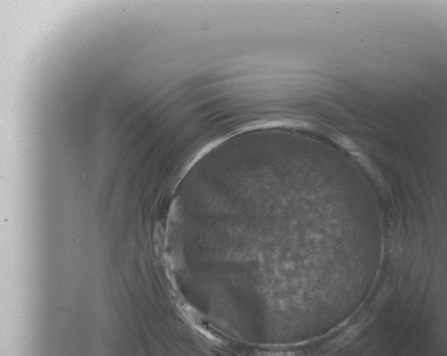 X0000080101369200612221728