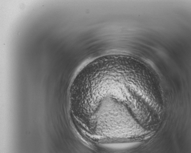 X0000080101371200612221727